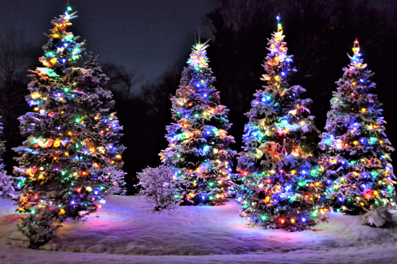 zonder titel (1620 x 1080 px) (810 x 540 px) (5)